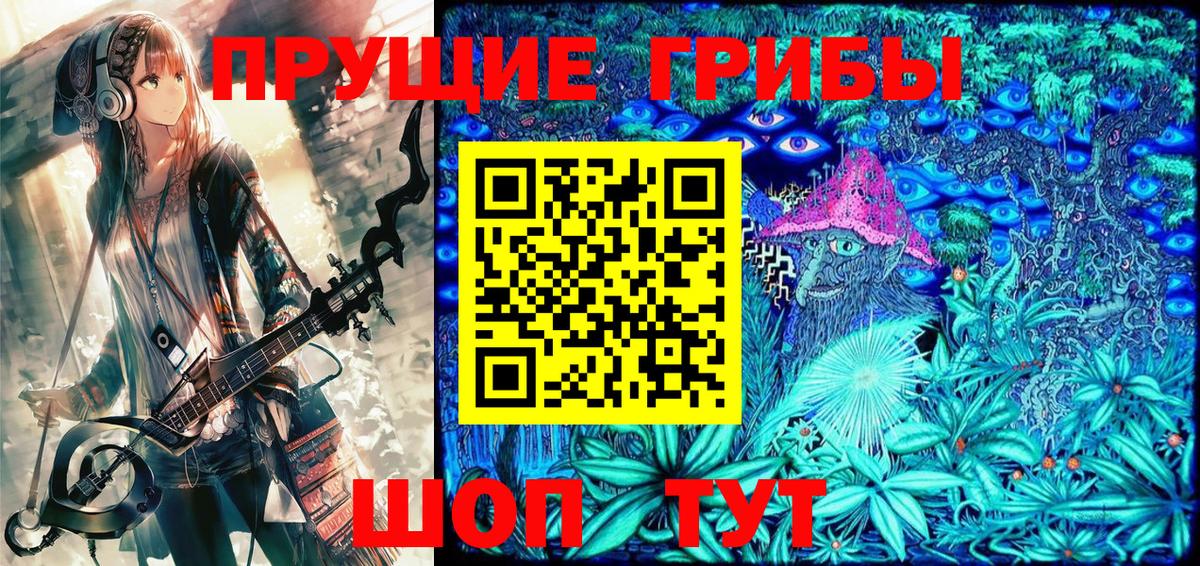 Мценск  Псилоцибиновые грибы GOLDEN TEACHER  Псилоцибиновые грибы GOLDEN TEACHER  Вход с VPN 